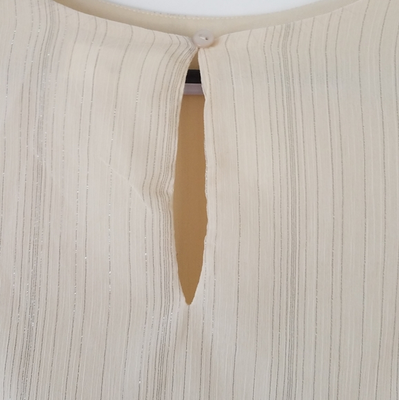 Japna Ivory Silver Pinstripe Long Sleeve Top - Picture 4 of 6